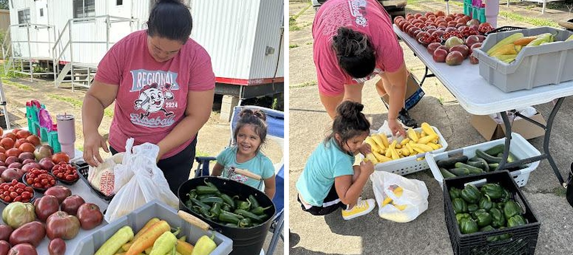The Arkansas Asian Cafe