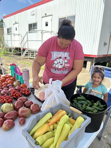 The Arkansas Asian Cafe